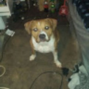 Meet your Posher, Bruce w